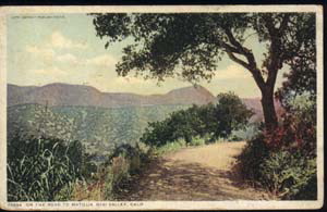 roadtomatilija1915.jpg